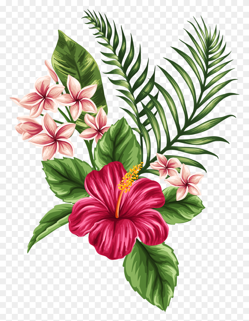 776x1024 Beautiful Flower Seamless Patterns Retro Vector Set - Hawaiian Flower PNG