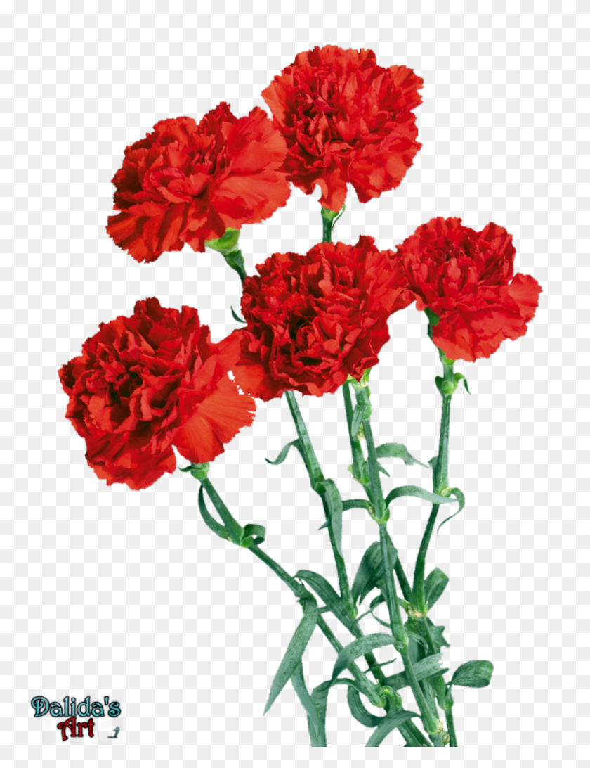 774x1032 Beautiful Flower Vase With Flowers Png, Spring Vase Bouquet - Flower Vase PNG