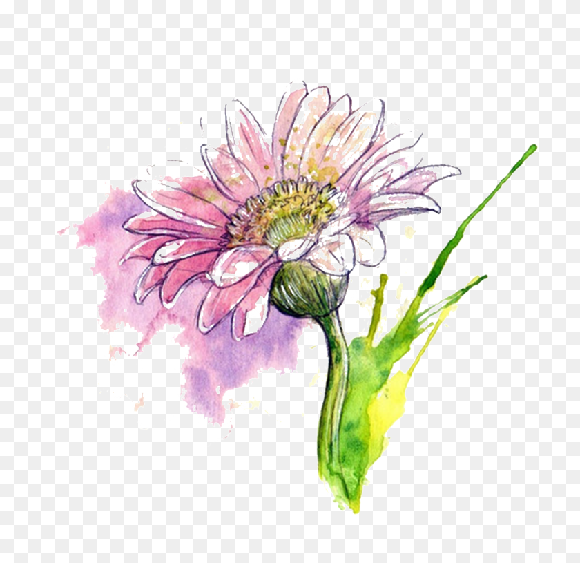 1024x992 Beautiful Lilac Hand Drawn Chrysanthemum Decorative Free Png - Chrysanthemum PNG