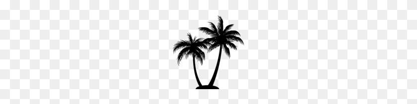 146x150 Beautiful Palm Tree Png Clipart Image Clip Art - Palm Tree Silhouette PNG