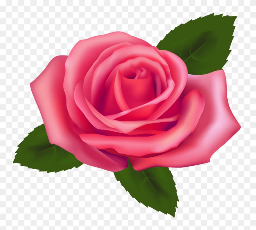 1000x890 Beautiful Pink Rose Png Clipart - Rose Emoji PNG