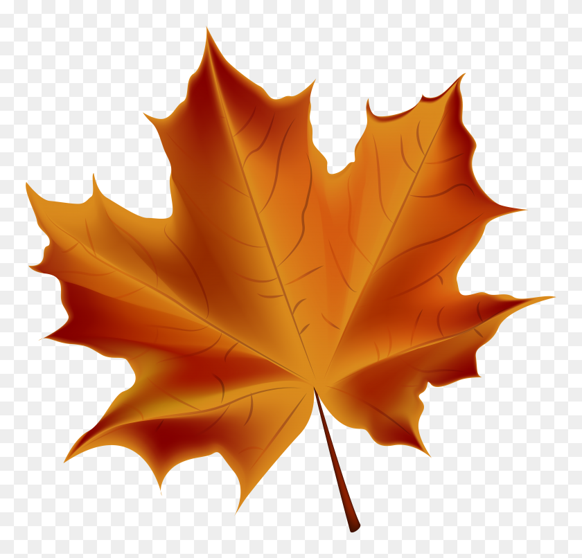 7000x6697 Beautiful Red Autumn Leaf Transparent Png Clip Art Image - Red Leaf Clipart