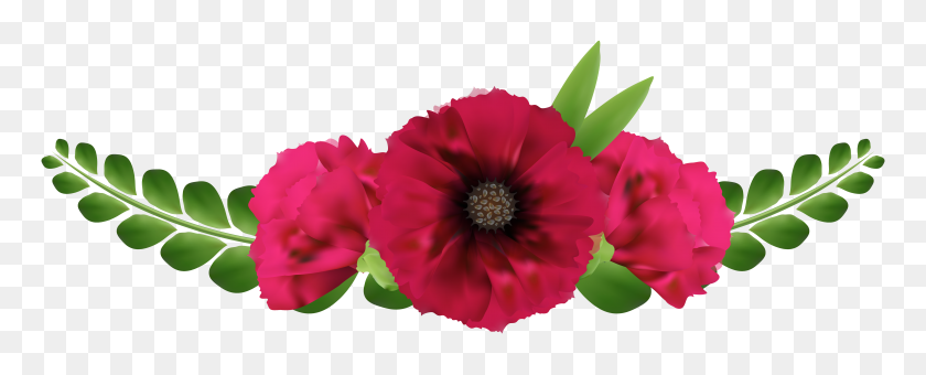 6184x2225 Hermosas Flores Rojas Png Clipart - Flor Roja Clipart