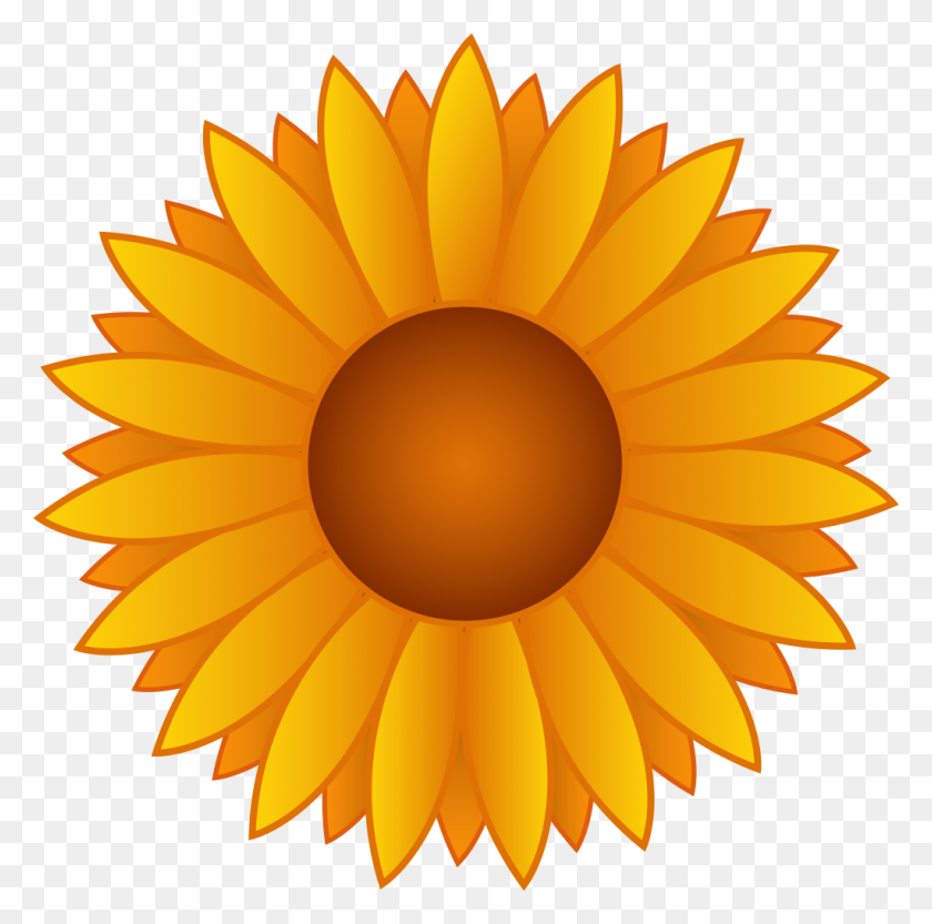 1024x1015 Beautiful Sunflower Clipart - Sunflower Clipart Outline