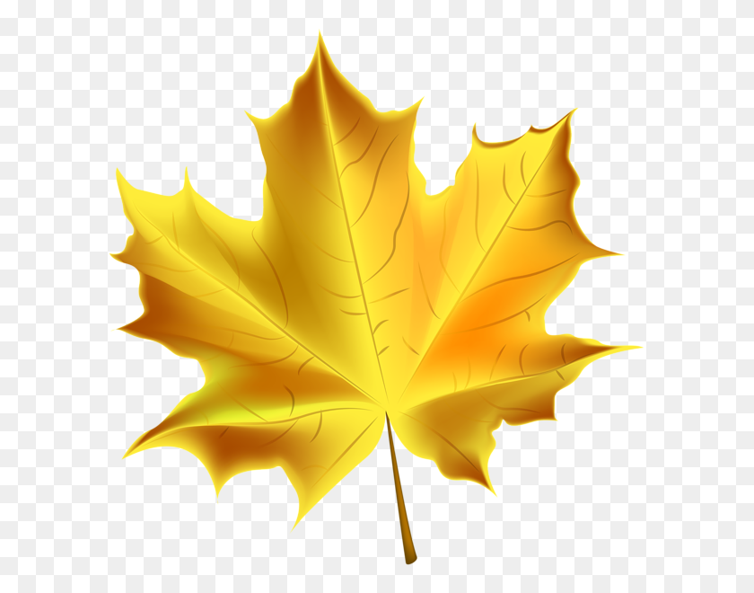 599x600 Beautiful Yellow Autumn Leaf Transparent Png Clip Art Image - Yellow Leaf Clipart