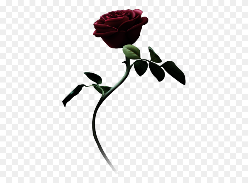 418x561 Png Красавица И Чудовище Красавица И Чудовище Роза