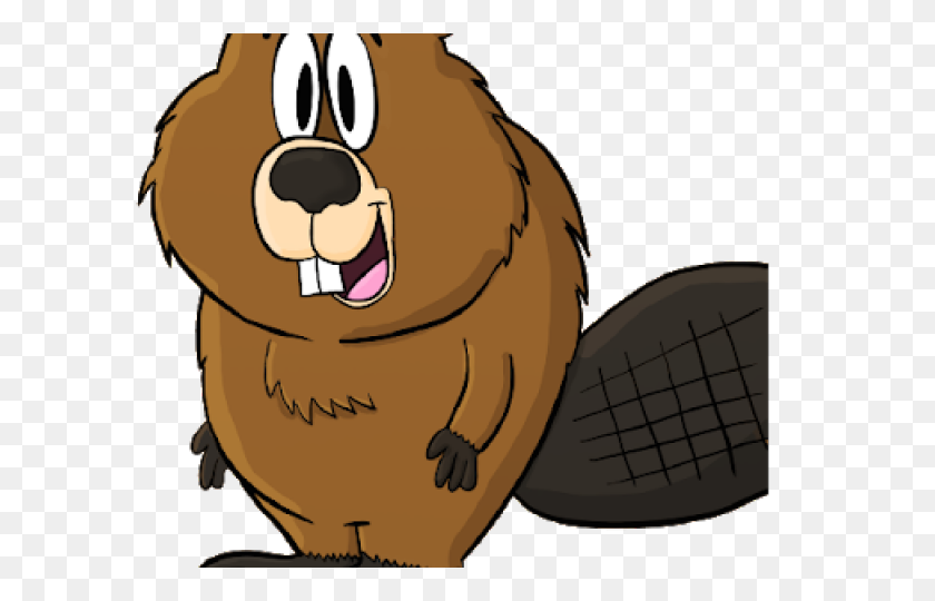 640x480 Beaver Clipart Face - Beaver Clipart