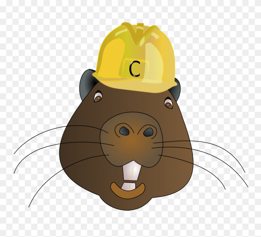 800x722 Beaver Cliparts - Free Groundhog Day Clipart