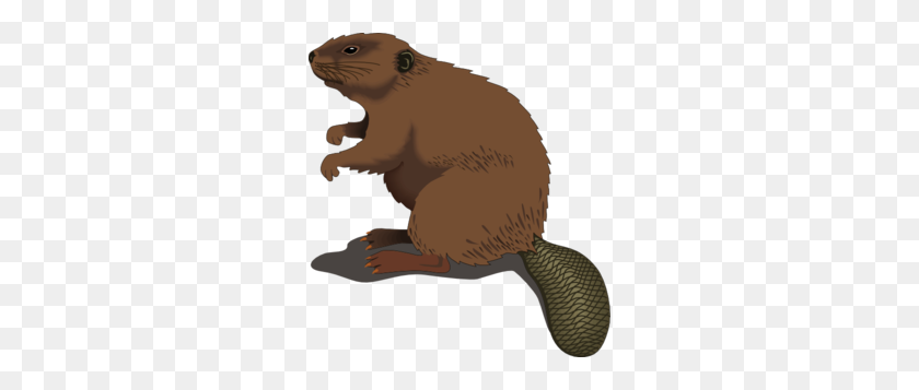 276x297 Beaver Standing Clip Art - Free Groundhog Clipart