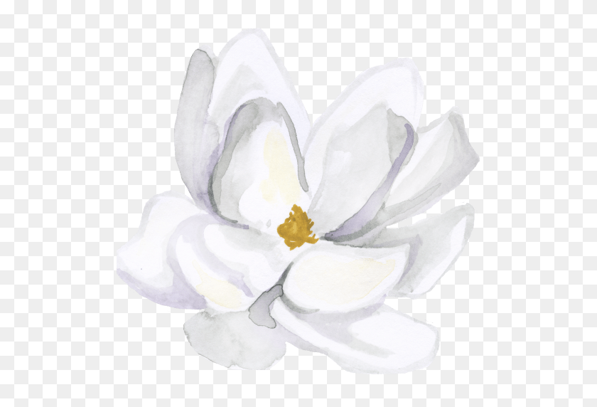 512x512 Convertirse En Una Magnolia De Acero Sabiduría Femenina Para La Vida Moderna - Magnolia Png