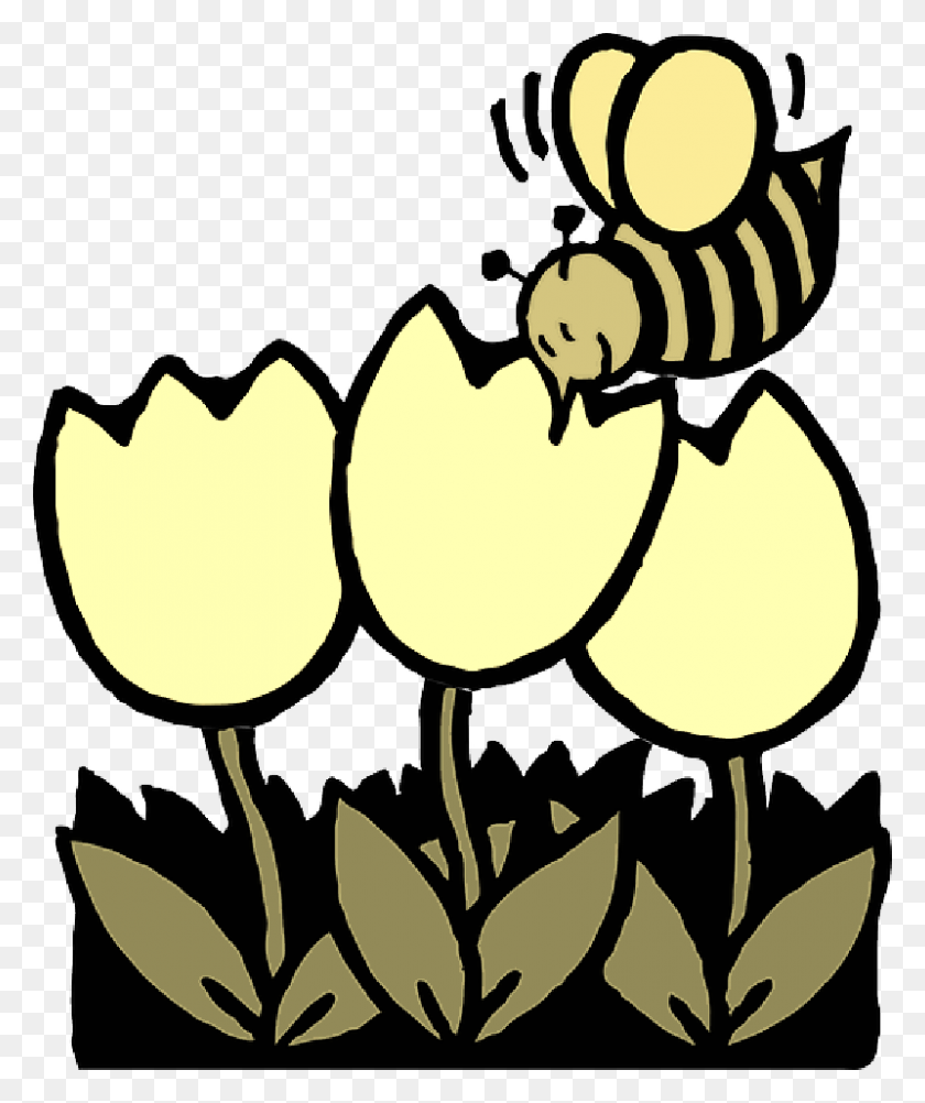 800x967 Bee And Flower Drawing - Pollination Clipart