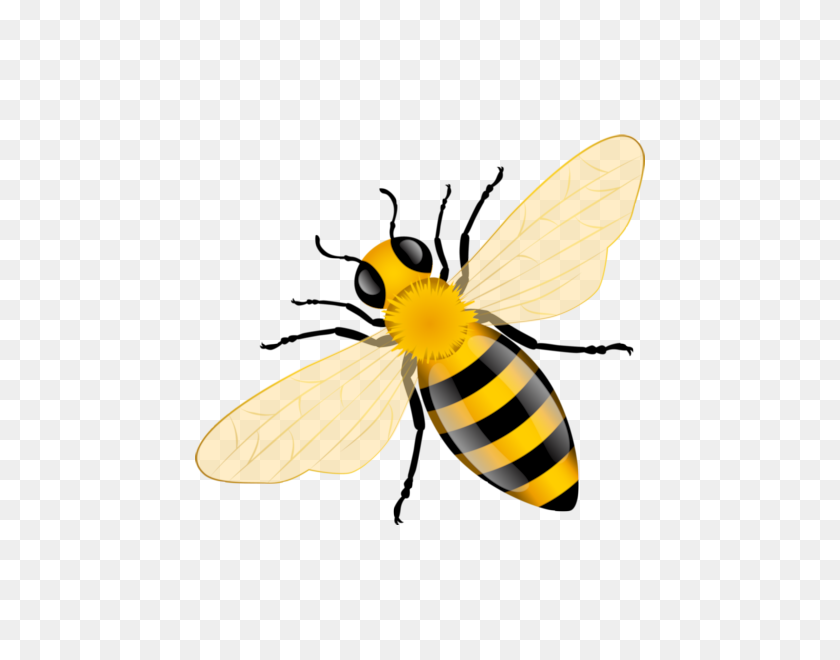 600x600 Bee, Bee Art, Bee Crafts - Bee Emoji PNG