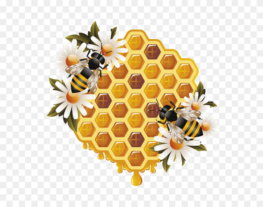600x600 Bee Bee, Honey And Bee Art - Honey Comb PNG