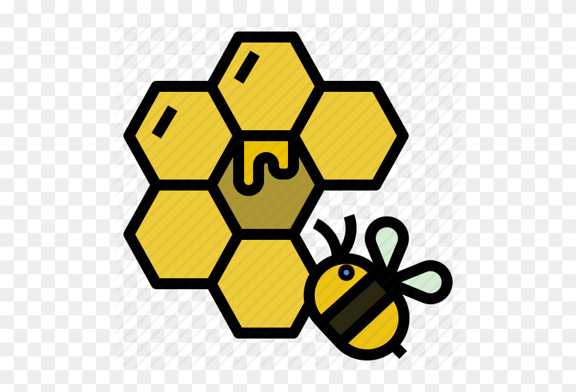512x512 Bee, Bumblebee, Hive, Honey, Insect Icon - Bumble Bee PNG