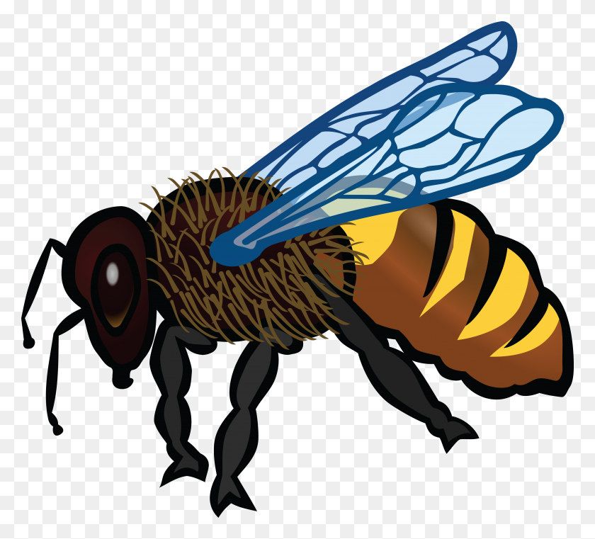 4000x3599 Пчела Картинки Черно-Белые - Летающая Утка Клипарт