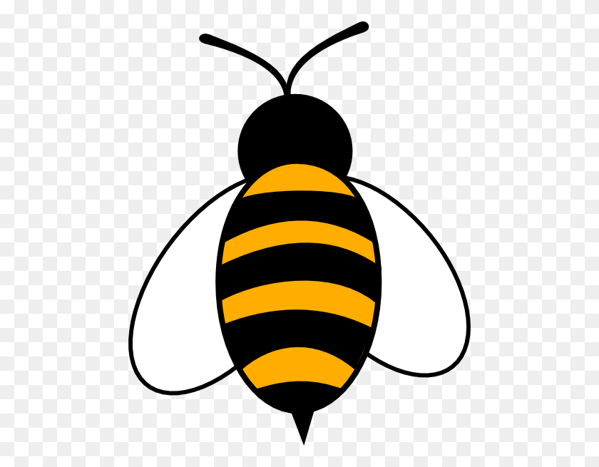480x595 Пчелы, Предложения По Пчелам, Скачать Пчелы - Клипарт Пчеловод