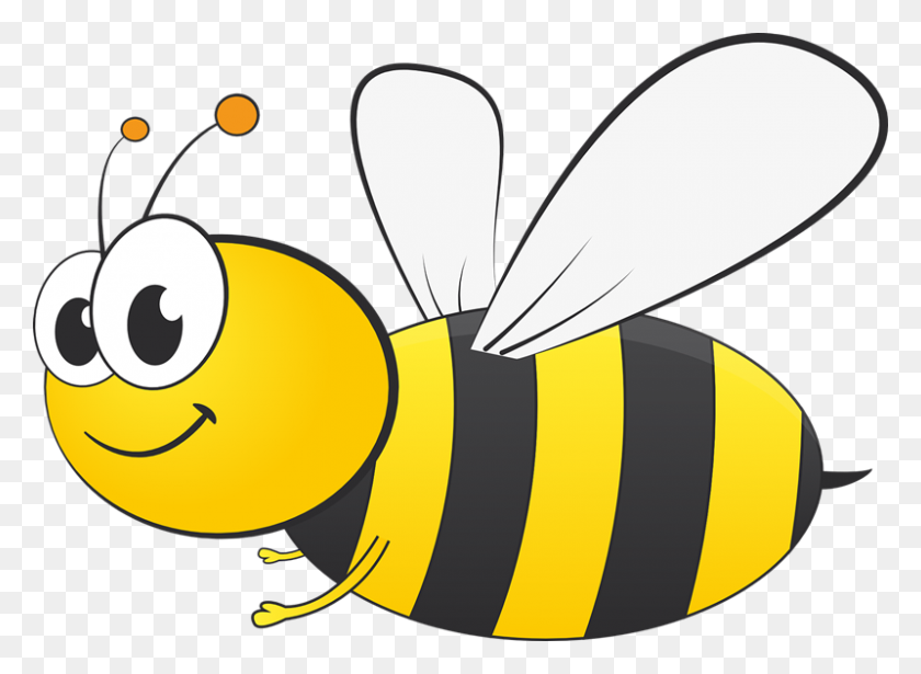 800x570 Пчела Бесплатно В Использовании Картинки - Шершень Клипарт Черно-Белый