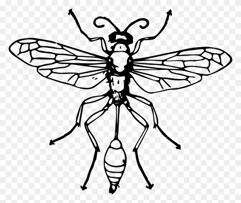 899x750 Bee Insect Thread Waisted Wasps Hornet - Wasp Clipart