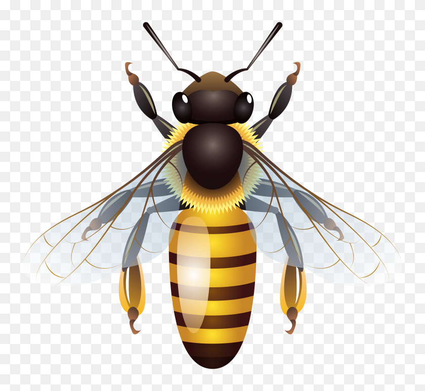 8000x7323 Bee Png Clip Art - Wasp Clipart