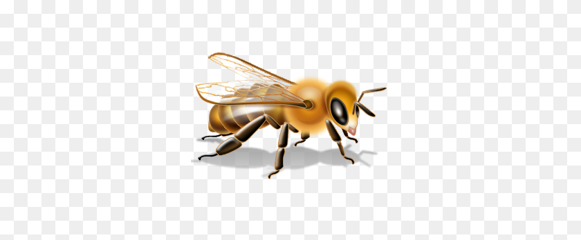 288x288 Bee Png Image, Free Bee Picture Png Download - Honey Bee PNG