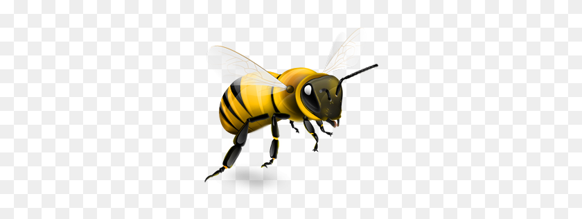 256x256 Bee Wasp Nest Removal Service - Wasp PNG