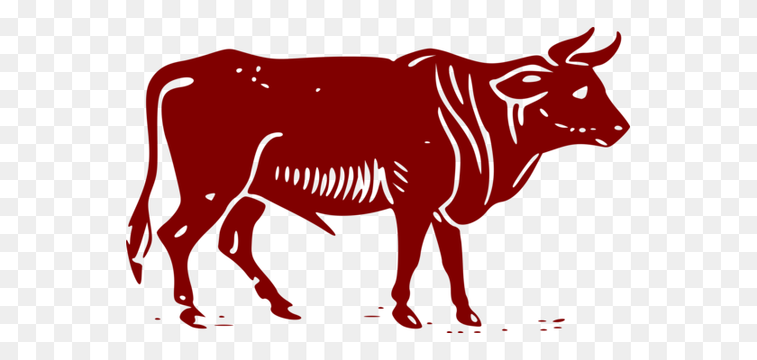559x340 Beef Cattle Angus Cattle Dairy Cattle Bull Computer Icons Free - Angus Cow Clipart