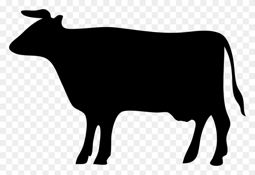 1135x750 Рисунок Силуэта Крупного Рогатого Скота, Молочный Скот, Графика, Бесплатно - Шоу Скот, Клипарт