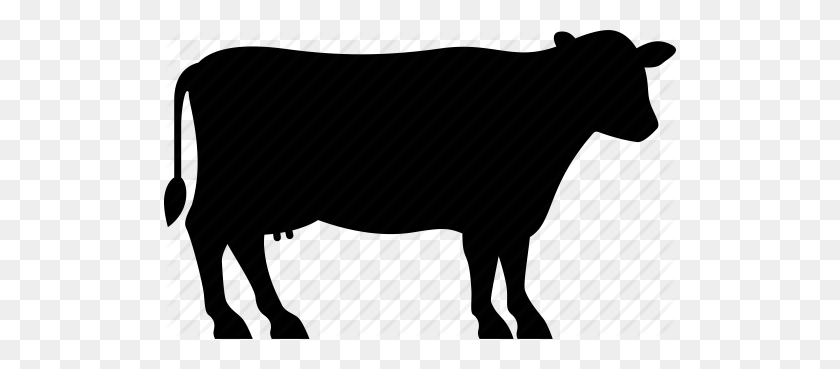 512x309 Beef Clipart Dairy Cow - Oligarchy Clipart