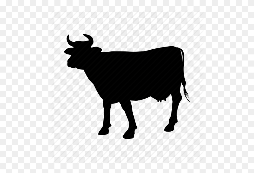512x512 Beef, Cow, Steak, Vaca Icon - Cow Icon PNG