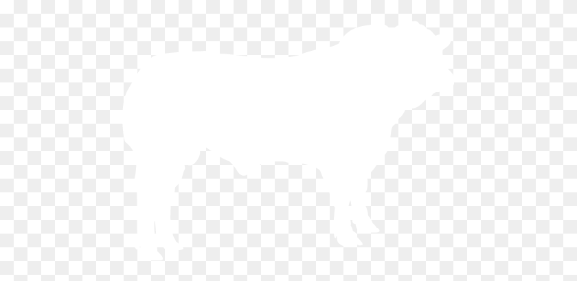 483x349 Beef Farming News And Beef Prices - Hereford Cow Clipart