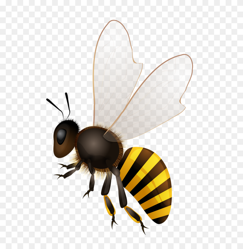 551x800 Пчелы Пчела, Пчелиное Искусство - Пчела Png
