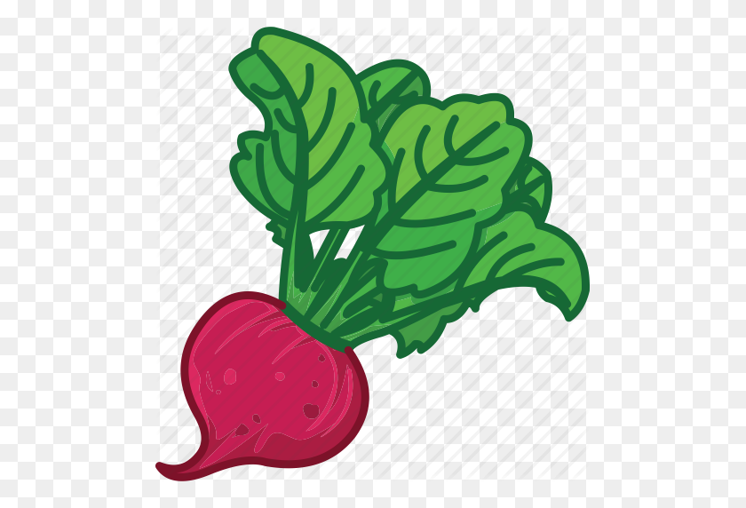 489x512 Beet, Beet Juice, Beet Root, Beet Salad, Vegetables Icon Icon - Beet PNG