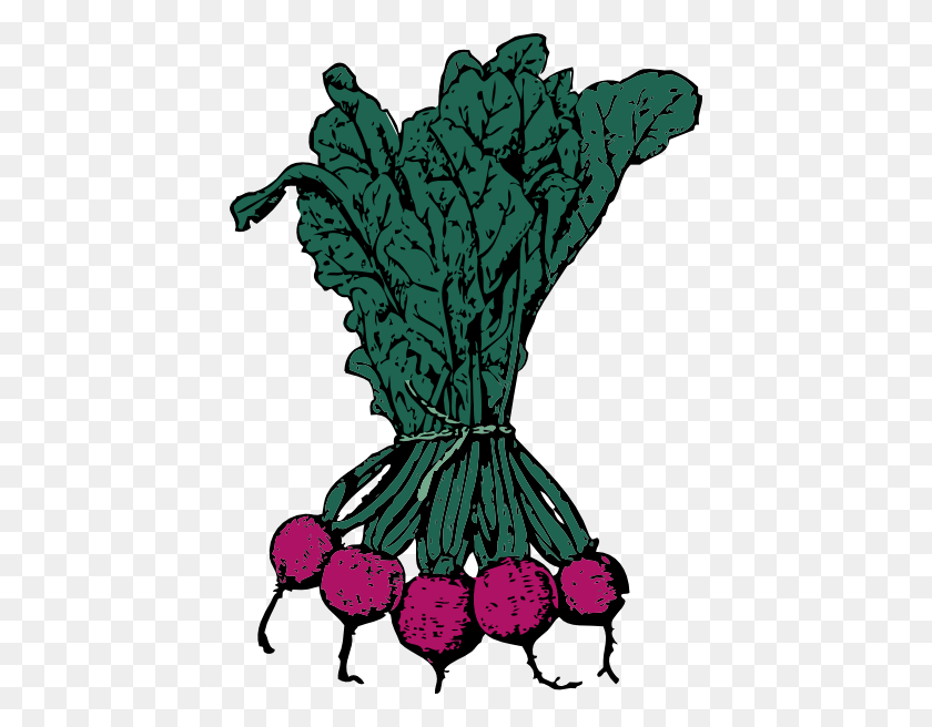 426x596 Beet Cliparts - Beet Clipart Black And White