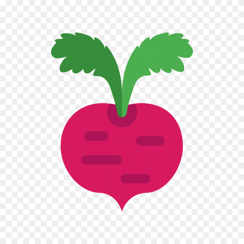 1600x1600 Beet Icon - Beet PNG