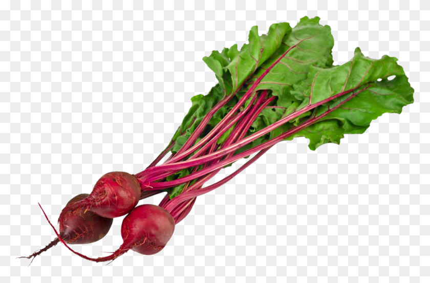 974x616 Beet Png Image - Roots PNG