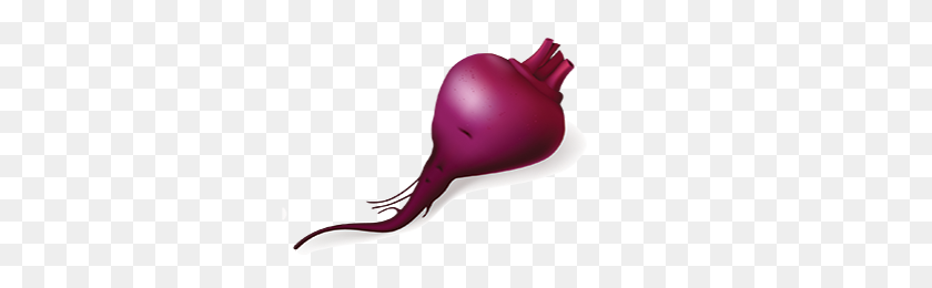 400x200 Beet Png Image Without Background Web Icons Png - Beet PNG