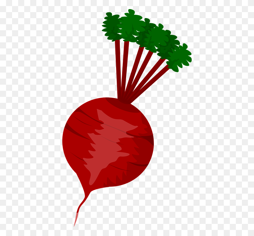 428x720 Beet Png Images Free Download - Rhubarb Clipart