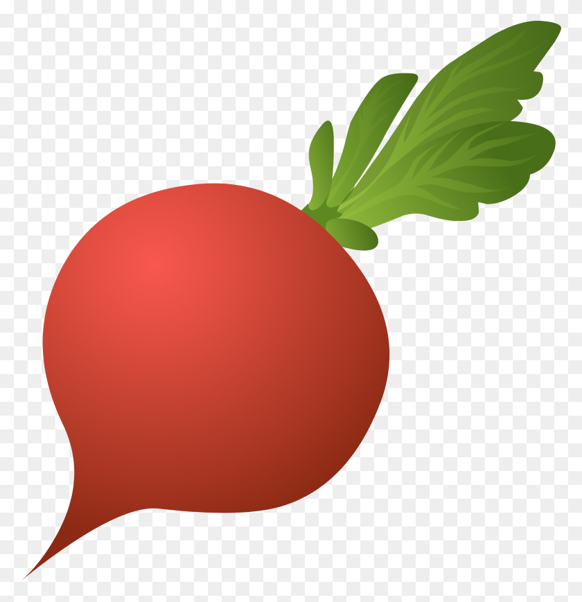 2312x2400 Beet Png Images Free Download - Vegetable Clipart Free