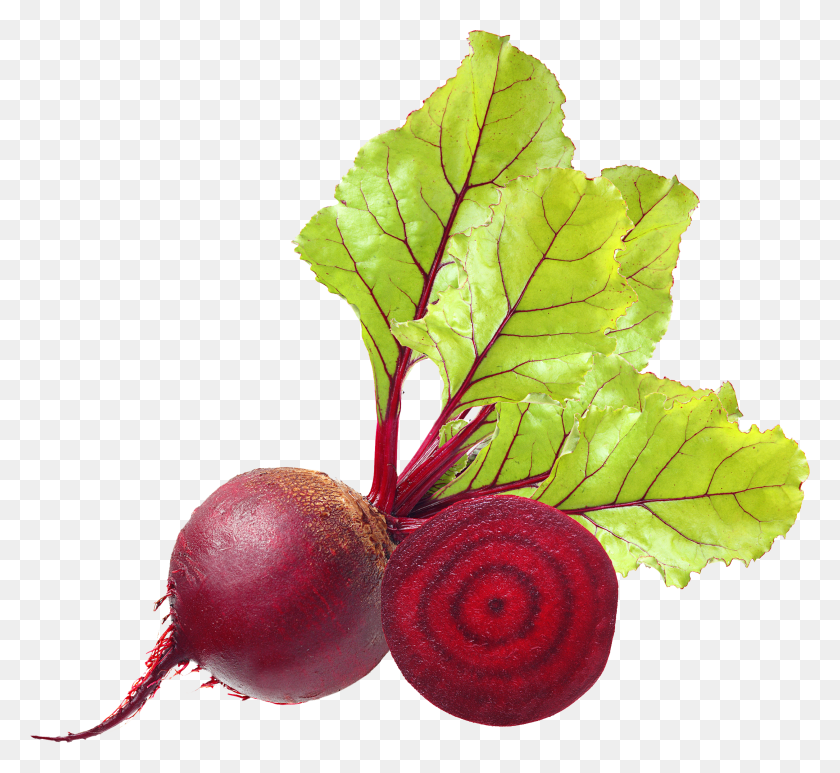 2512x2298 Beet Png Images Free Download - Beet PNG
