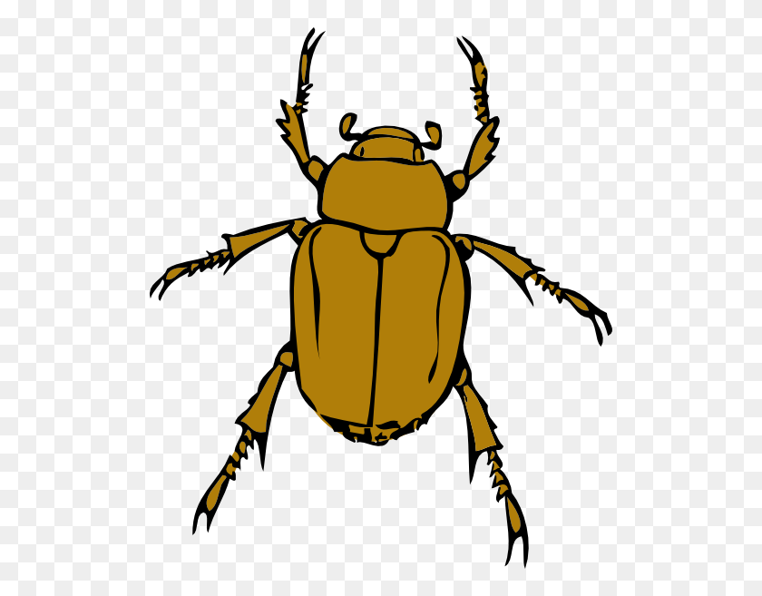 510x597 Beetle Bug Clip Art - Insect PNG