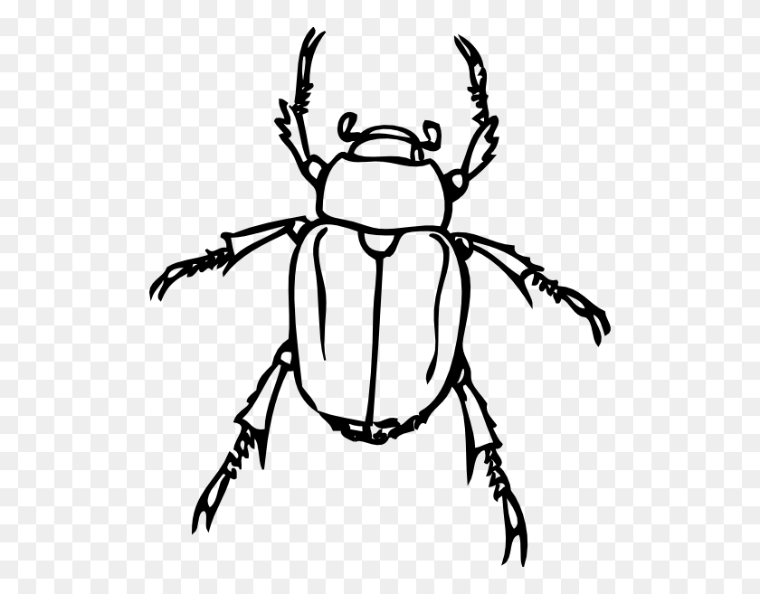 510x597 Beetle Bug Clip Art Free Cliparts - Scarab Clipart
