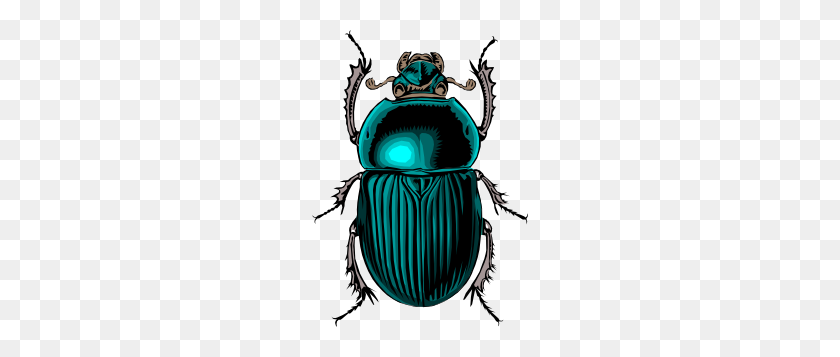 216x297 Beetle Bug Clip Art Free Vector - Stag Clipart