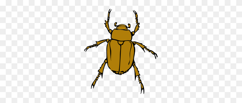 255x298 Beetle Bug Clip Art Free Vector - Cockroach Clipart