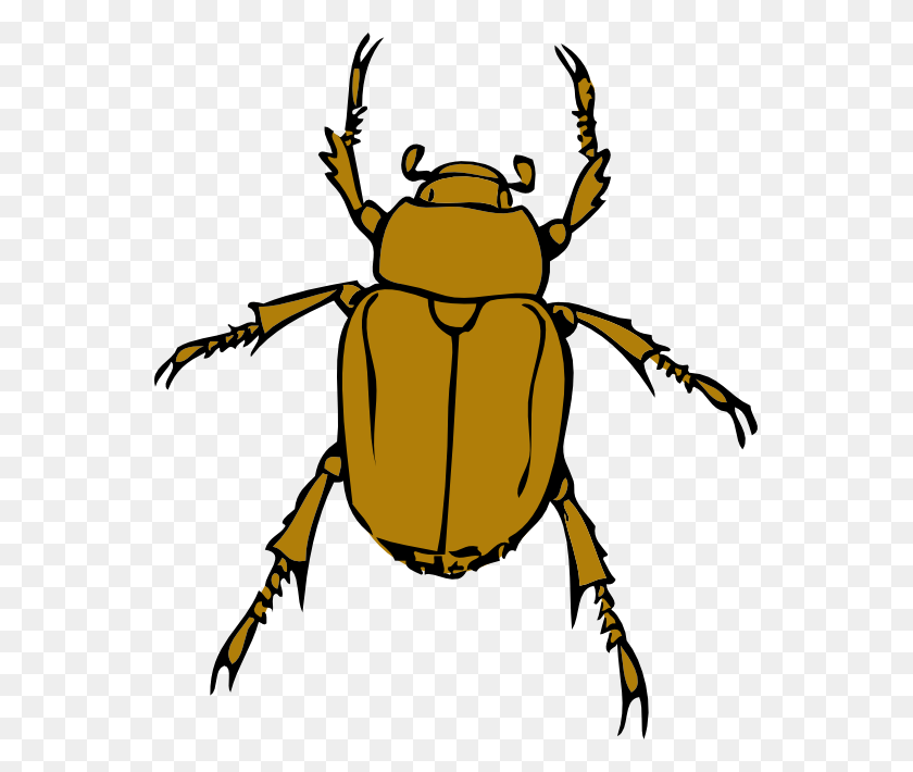 555x650 Beetle Bug Clip Art Png - Bug PNG
