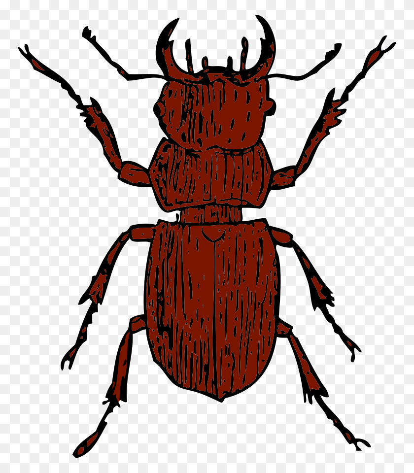 768x900 Beetle Clip Art - Parasite Clipart