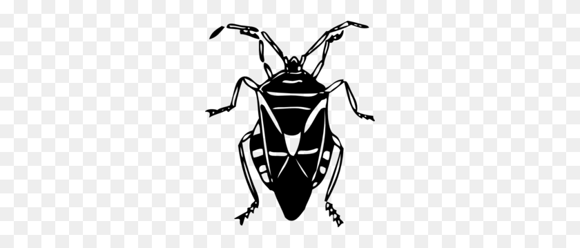 246x299 Beetle Clip Art - Beetle Clipart Black And White