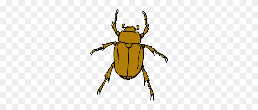 256x300 Beetle Clip Art - Locust Clipart