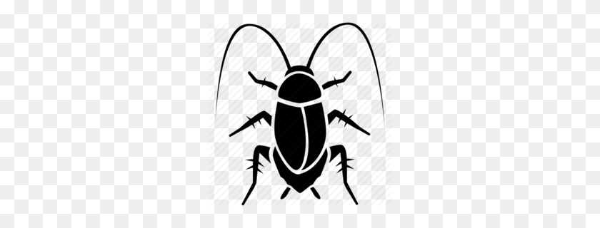 260x260 Beetle Clipart - Mosquito Clipart Blanco Y Negro