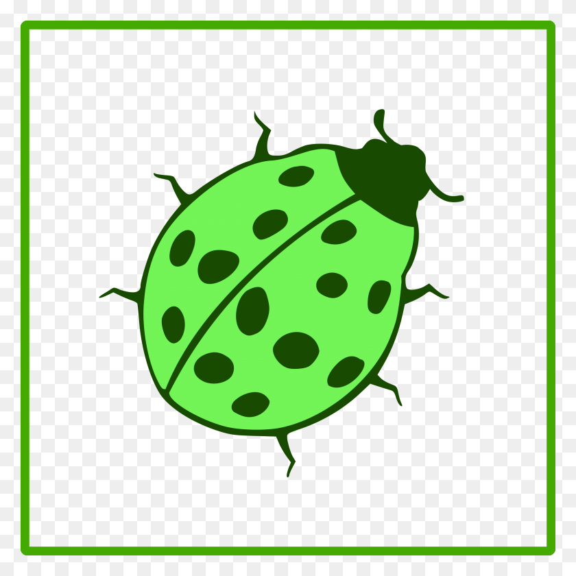 2400x2400 Beetle Clipart Green - June Bug Clipart