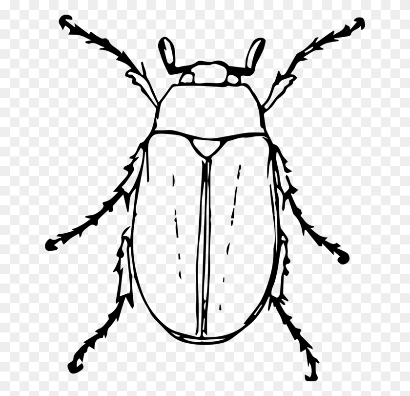 656x750 Beetle Drawing Black And White Animal Cockchafer - Polar Bear Clipart Free